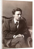 Vsevolod Garshin, Russian author, late 1870s by William Andreevich Carrick