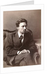 Vsevolod Garshin, Russian author, late 1870s by William Andreevich Carrick