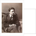 Vsevolod Garshin, Russian author, late 1870s by William Andreevich Carrick