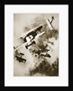 Dogfight between British and German aircraft, World War I, c1916-c1918 by Unknown