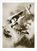Dogfight between British and German aircraft, World War I, c1916-c1918 by Unknown