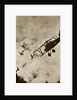 Pursuit. Aerial warfare, World War I, c1916-c1918 by Unknown
