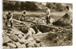 Digging mass graves behind the German lines, World War I, c1914-c1918 by Unknown