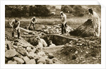Digging mass graves behind the German lines, World War I, c1914-c1918 by Unknown