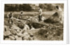 Digging mass graves behind the German lines, World War I, c1914-c1918 by Unknown