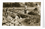Digging mass graves behind the German lines, World War I, c1914-c1918 by Unknown