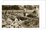 Digging mass graves behind the German lines, World War I, c1914-c1918 by Unknown