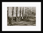 Filming the last shot fired before the Armistice, World War I, 11 November 1918 by Unknown