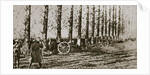 Filming the last shot fired before the Armistice, World War I, 11 November 1918 by Unknown