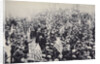 Armed troops confronting protesters during an industrial dispute, USA, 1912 by Unknown