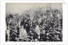 Armed troops confronting protesters during an industrial dispute, USA, 1912 by Unknown