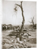 An advanced dressing station, Somme campaign, France, World War I, 1916 by Unknown