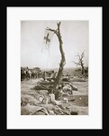 An advanced dressing station, Somme campaign, France, World War I, 1916 by Unknown