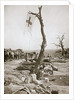 An advanced dressing station, Somme campaign, France, World War I, 1916 by Unknown