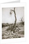 An advanced dressing station, Somme campaign, France, World War I, 1916 by Unknown