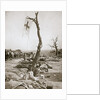 An advanced dressing station, Somme campaign, France, World War I, 1916 by Unknown