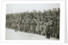 Australians cheer King George V, France, World War I, 1916 by Unknown