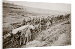 Pulling a big gun with a twelve horse team and the help of the gun crew, France, World War I, 1916 by Unknown