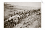 Pulling a big gun with a twelve horse team and the help of the gun crew, France, World War I, 1916 by Unknown