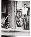 John Warde, out on a ledge on the 17th floor of the Hotel Gotham, New York, USA, 1938 by Unknown