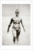 Gertrude Ederle, American swimmer, 1926 by Unknown