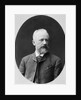 Peter Tchaikovsky, Russian composer, 1880s by Konstantin Schapiro