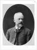 Peter Tchaikovsky, Russian composer, 1880s by Konstantin Schapiro