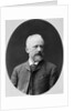 Peter Tchaikovsky, Russian composer, 1880s by Konstantin Schapiro
