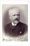 Peter Tchaikovsky, Russian composer, 1888 by Unknown