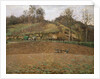 Ploughland, 1874. by Camille Pissarro