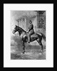 Equestrian portrait of Tsar Alexander II of Russia, c1861-c1865 by Unknown