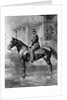 Equestrian portrait of Tsar Alexander II of Russia, c1861-c1865 by Unknown