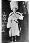Grand Duke Nicholas Mikhailovich of Russia, 1865 by Unknown