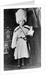Grand Duke Nicholas Mikhailovich of Russia, 1865 by Unknown