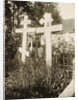 Graves in the cemetery of the Novodevichy (New Maidens) Convent, Moscow, Russia, 1929 by Unknown