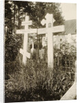 Graves in the cemetery of the Novodevichy (New Maidens) Convent, Moscow, Russia, 1929 by Unknown