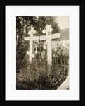 Graves in the cemetery of the Novodevichy (New Maidens) Convent, Moscow, Russia, 1929 by Unknown