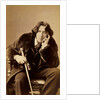 Oscar WiIde, Irish writer, wit and playwright, 1882 by Napoleon Sarony