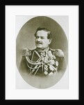 Prince Vladimir Dolgorukov, Mayor of Moscow, 1873 by Unknown