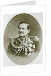 Prince Vladimir Dolgorukov, Mayor of Moscow, 1873 by Unknown
