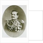 Prince Vladimir Dolgorukov, Mayor of Moscow, 1873 by Unknown