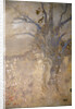 Spring, c1910. by Odilon Redon
