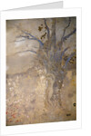 Spring, c1910. by Odilon Redon