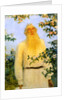 Portrait of the author Leo N Tolstoy, 1912. by Il'ya Repin