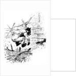 Illustration from the book The Complete Tales of Uncle Remus, by Joel Chandler Harris, 1895. by AB Frost