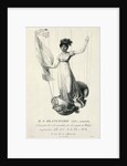 Portrait of French balloonist Sophie Blanchard during her flight in Milan, Italy, 1811 by Luigi Rados