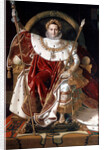 Napoleon on his Imperial Throne, 1804 by Napoleon Bonaparte I