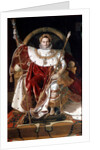 Napoleon on his Imperial Throne, 1804 by Napoleon Bonaparte I