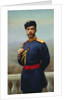 Tsar Nicholas II of Russia with the Cross of Saint Vladimir, 1905 by Genrich Maniser
