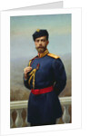 Tsar Nicholas II of Russia with the Cross of Saint Vladimir, 1905 by Genrich Maniser